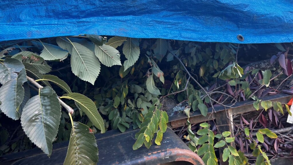 Prepare for Creston’s fall curbside pick up