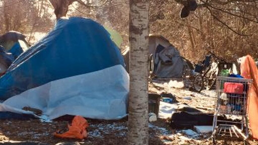 Point-in-time count reveals homelessness declining in Comox Valley