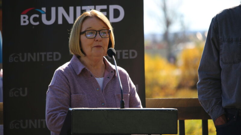 “Every British Columbian will be impacted”: Bond on budget