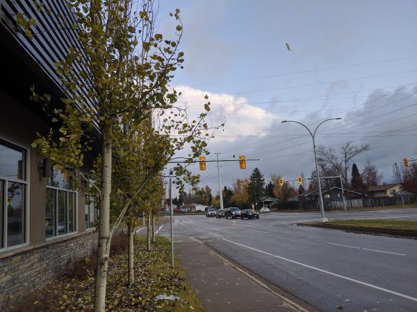 A gusty Thursday is on tap for most of Northern B.C.