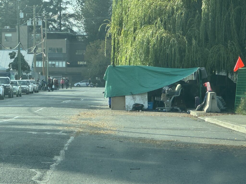 Municipality of North Cowichan moves forward with cleaning up Lewis Street 