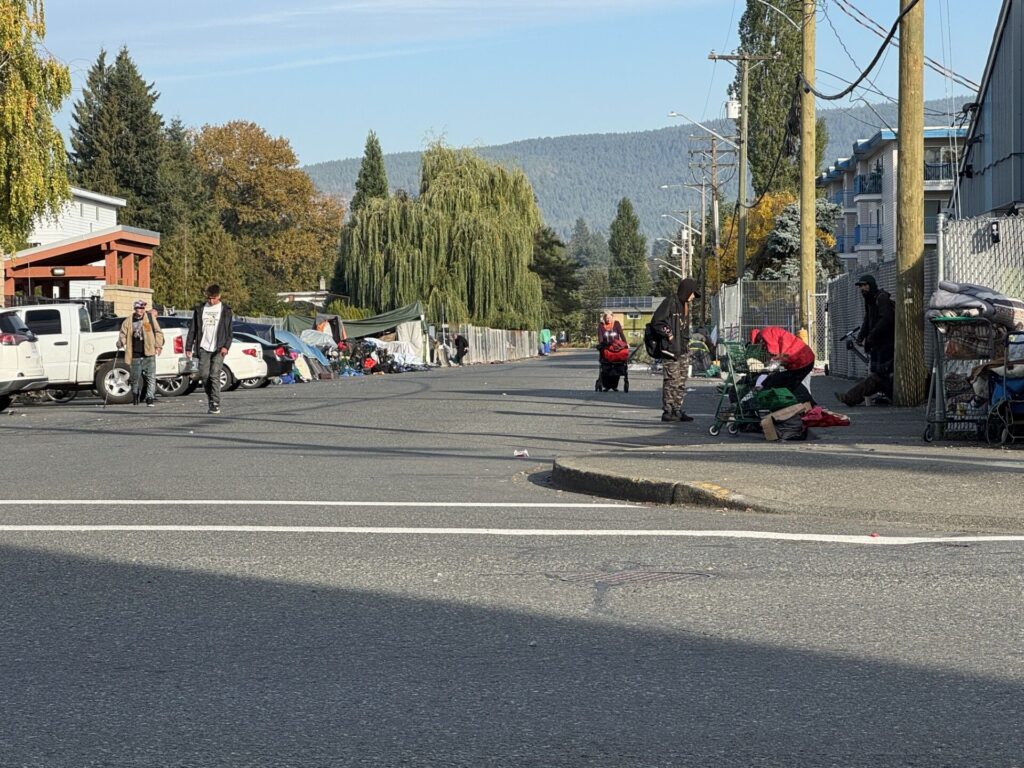 North Cowichan to investigate options to clean up Lewis Street and homeless encampments 