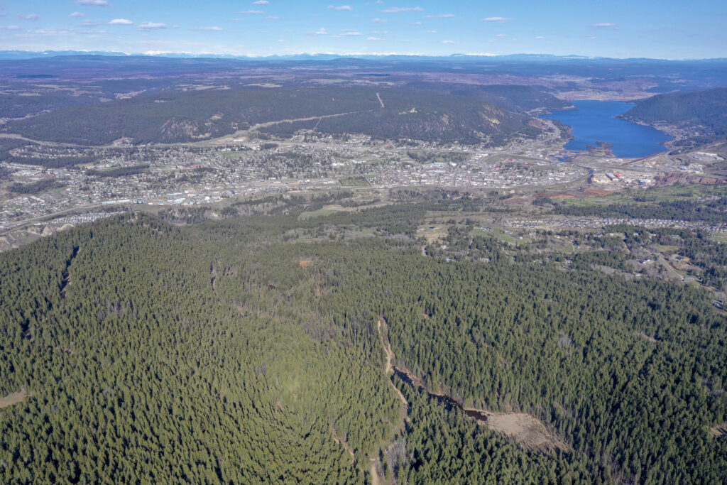 Williams Lake Community Forest opens 2026 project applications