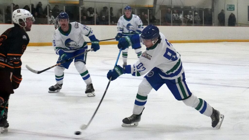 Steelheads, Wolverines see different outcomes in the CIHL
