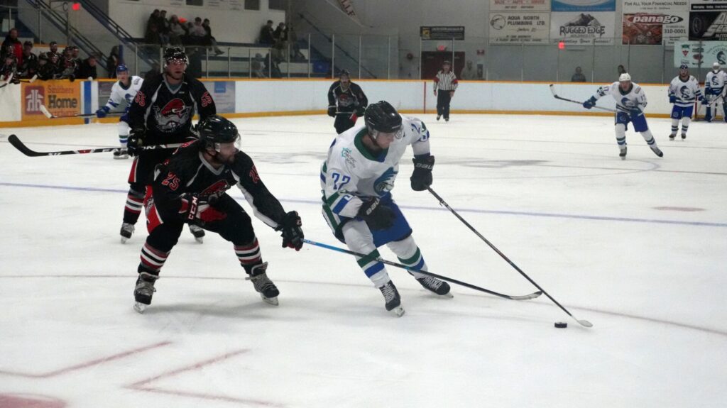 Steelheads, Wolverines have weekend success on the ice