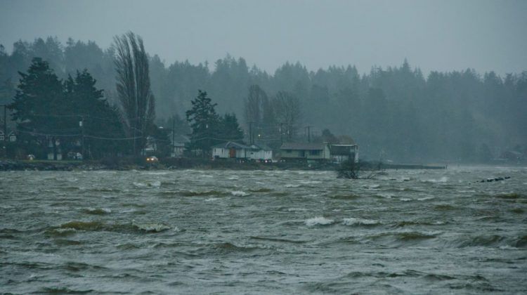 Enviornment Canada issues wind alert for Powell River area