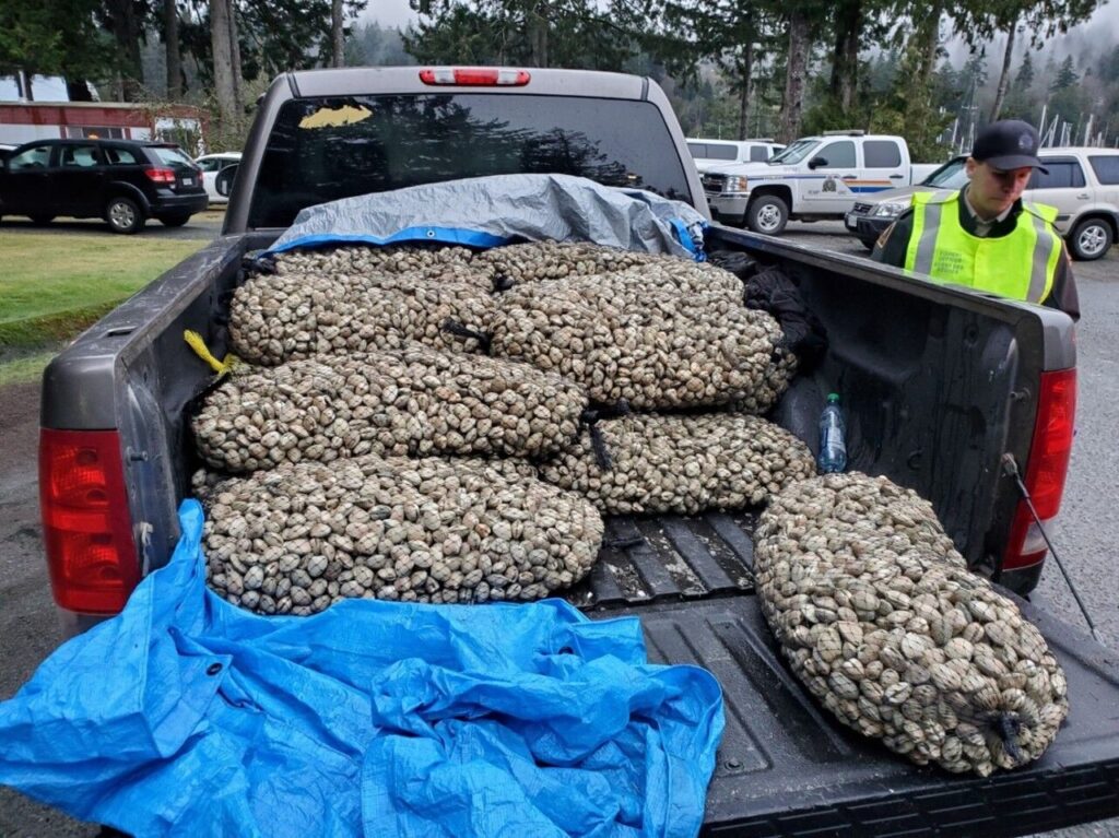 Man given $5k fine in Campbell River Provincial Court for illegally harvesting clams