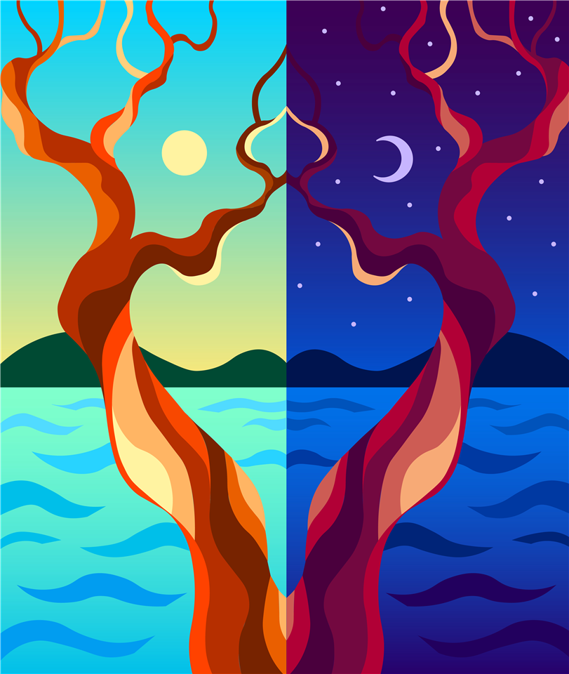 Nanaimo student’s art will be on new street banners 