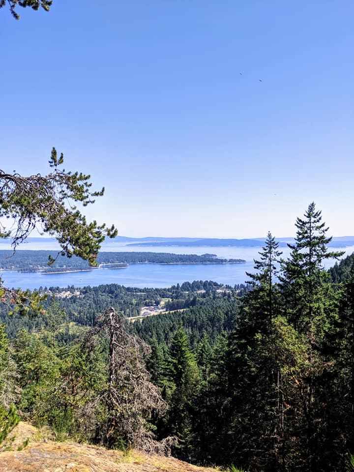 Friends of Holland Creek gear up for year-round environmental projects in Ladysmith