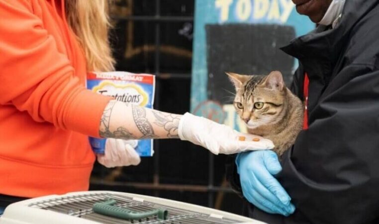 B.C. SPCA Food Bank program assisting animals within Cariboo North region