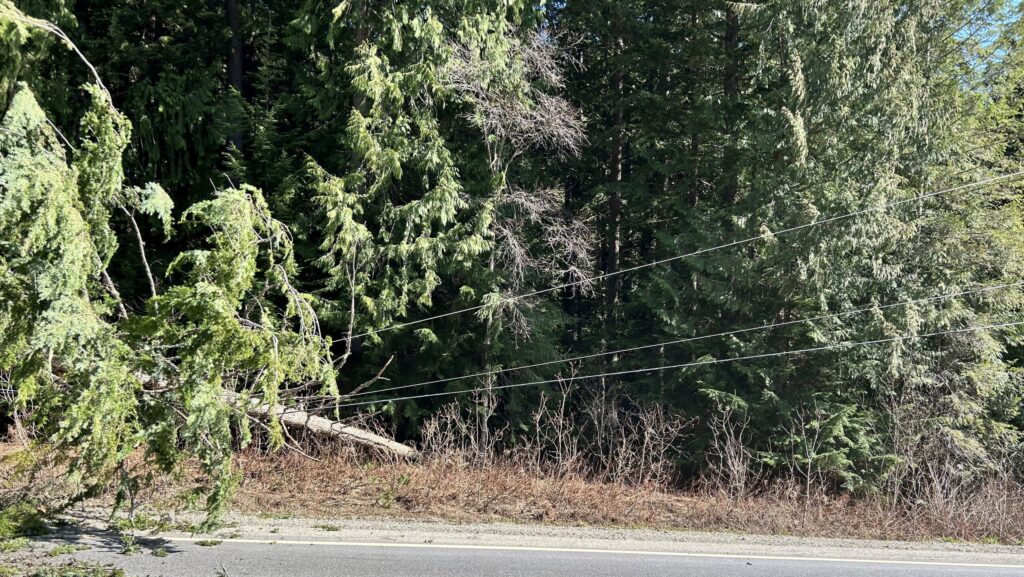 Windstorm knocks out power, closes several SD8 schools Thursday