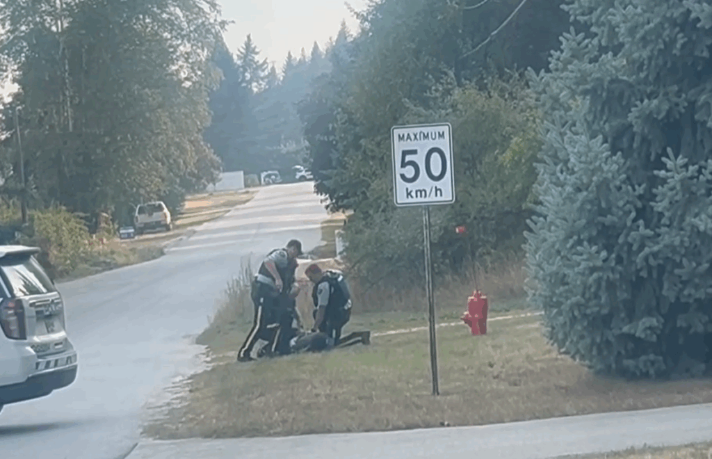 Charges stayed in Fairview gun complaint