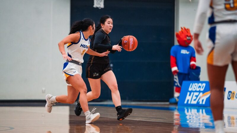 Timberwolves unable to take the Heat in Kelowna