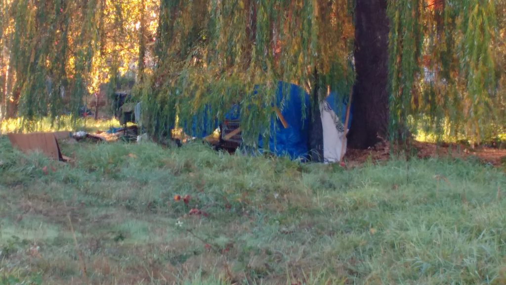 Point-in-Time count shows a decline in homeless population on Salt Spring Island 