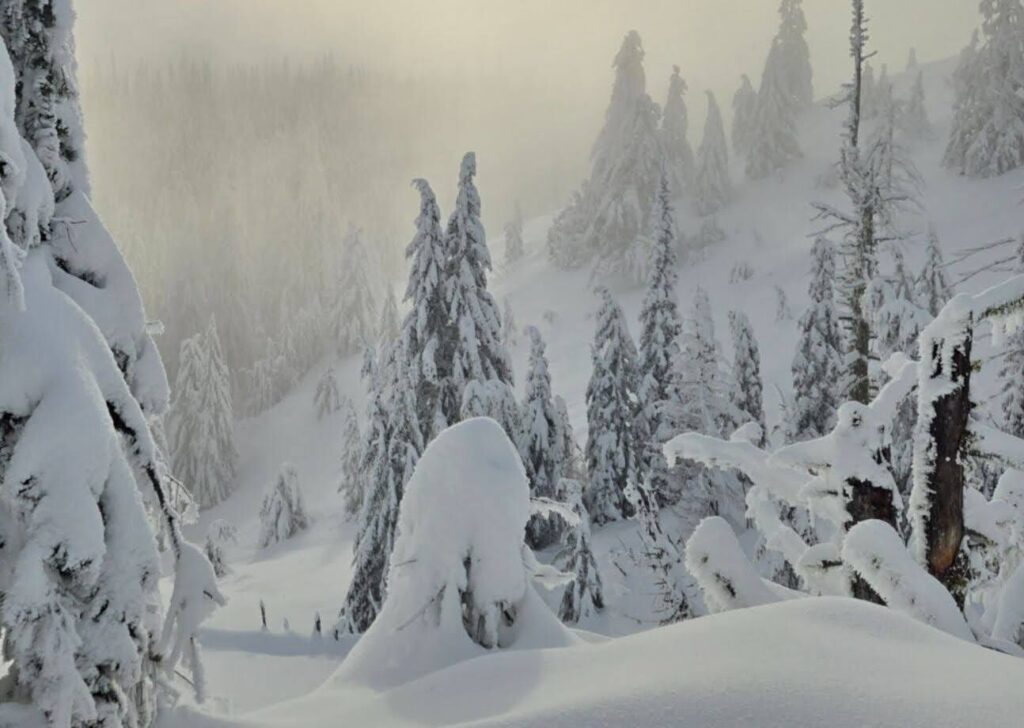 Judge grants injunction against Record Ridge mine