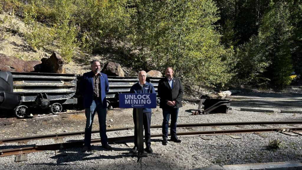 Local MLAs supporting interim BC Conservative leader