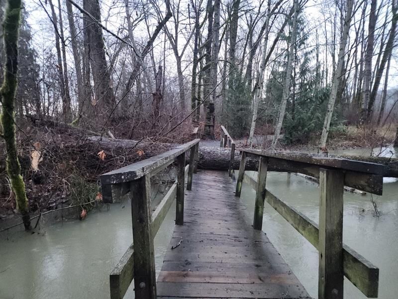 Tree falls on bridge at Rotary Park