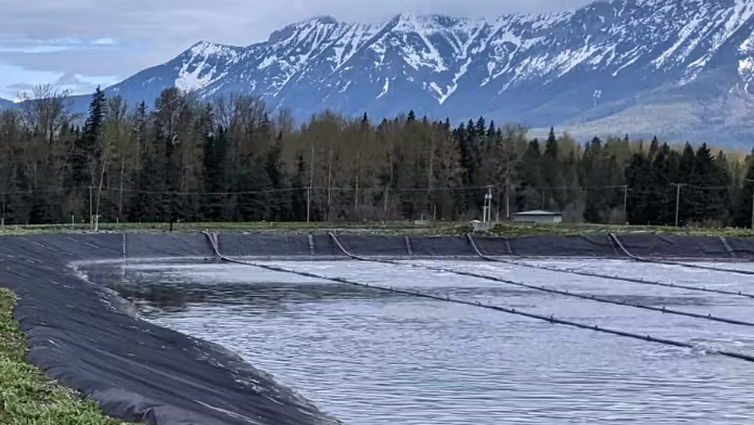 Fernie wastewater system strained, public urged to conserve water