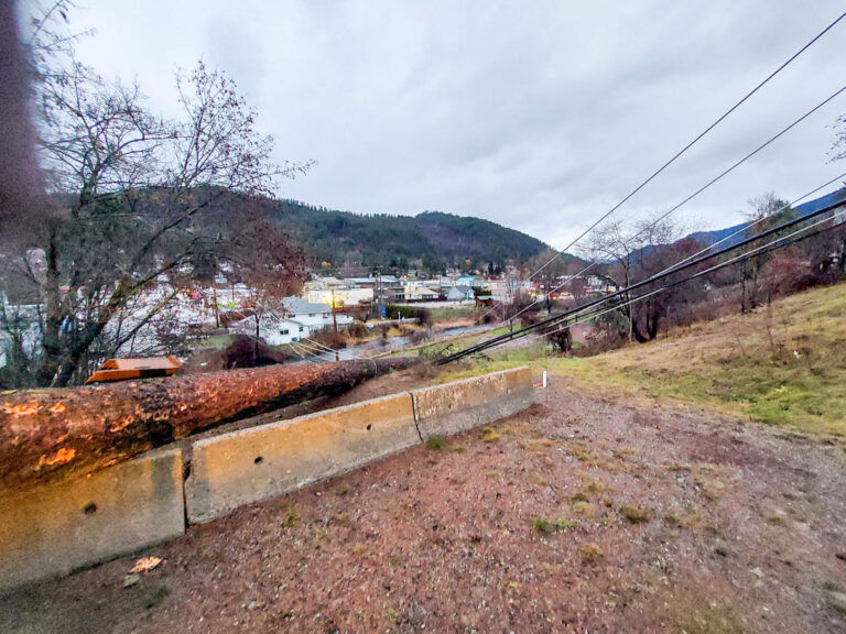 FortisBC still restoring power following windstorm