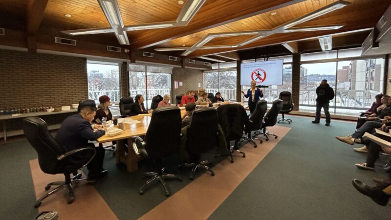 Public Safety Committee supportive of “Hope and Healing Network” pitch