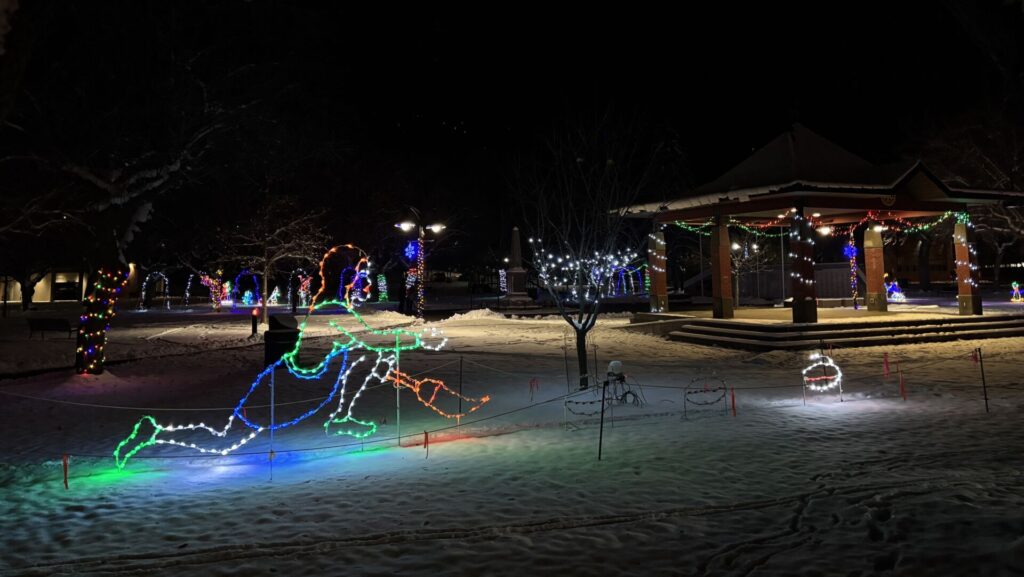 BC Hydro’s energy saving tips for festive social media worthy decor