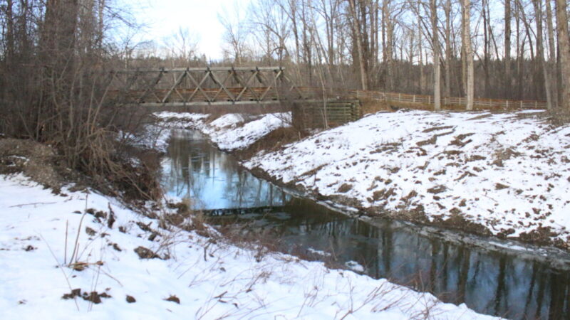 Spruce City Wildlife Association reconnects Cottonwood Island Side Channel to Nechako River