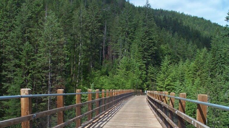 RDKB still fighting for Columbia & Western rail trail