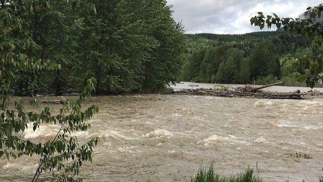 Fernie asks residents to conserve water as rainfall strains wastewater system