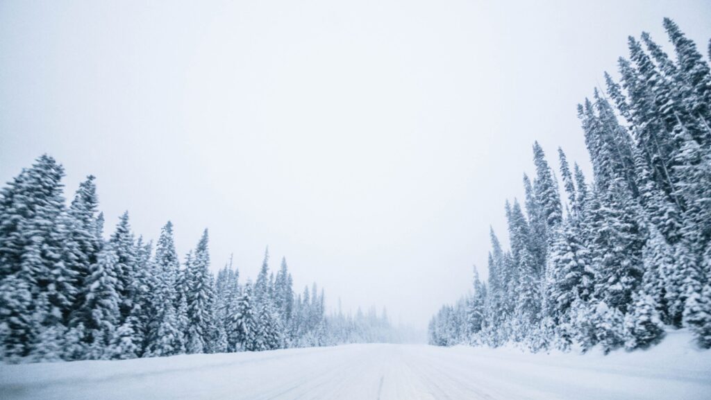 Heavy snowfall expected in Elk Valley through weekend