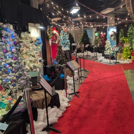 Spirit of the North Healthcare Foundation pleased with Festival of Trees turnout
