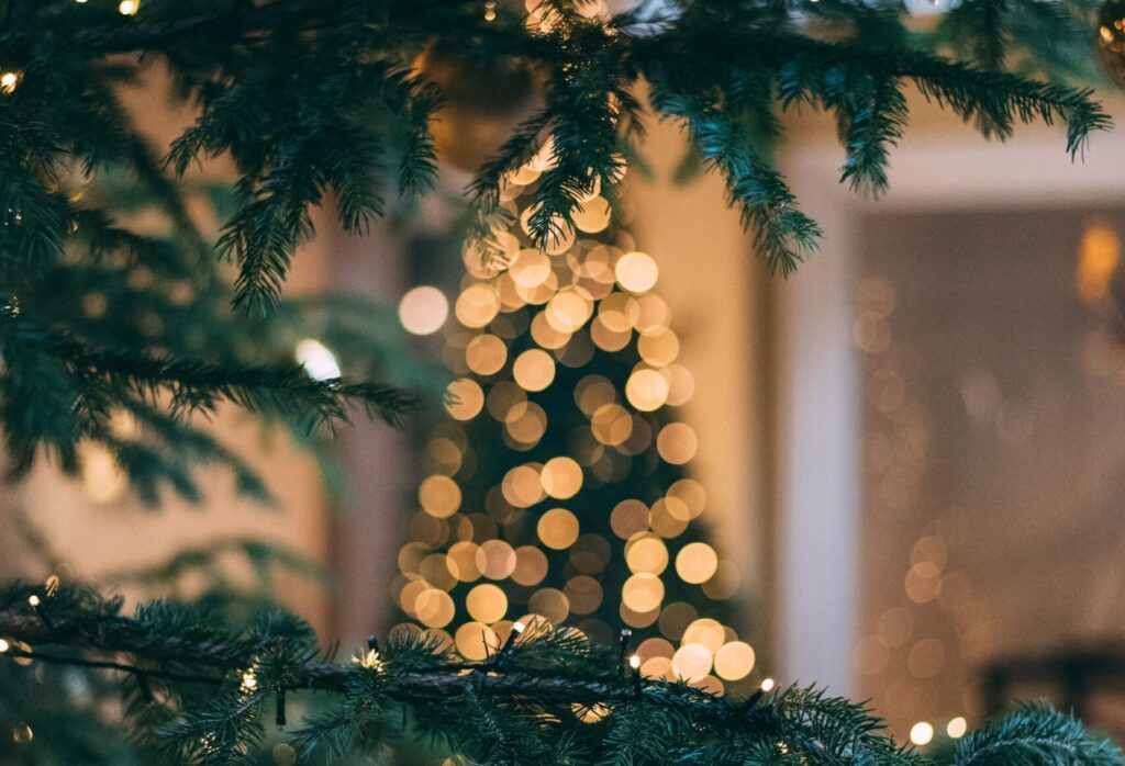 Christmas tree recycling events return January 3–4