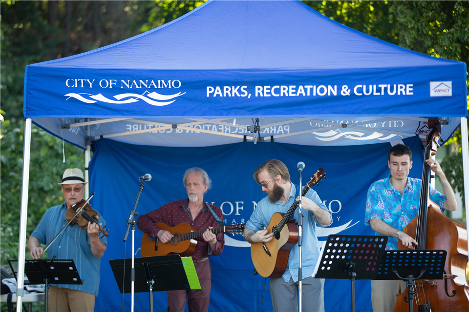 Nanaimo looks for local artists for concerts in the park this summer 