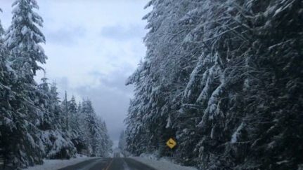 White Christmas is possible according to Environment Canada