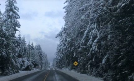 White Christmas? Environment Canada says not this year