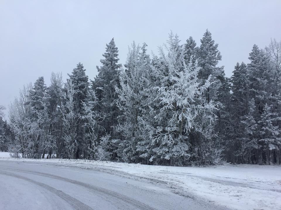 No big changes in the weather expected to start 2026 in the Cariboo