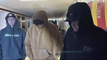 RCMP ask for help to identify break and enter suspects 