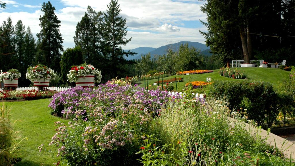 Kimberley heritage panel project gets update from council