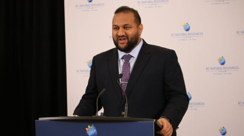 Forest sector facing several challenges, but also opportunities: Parmar