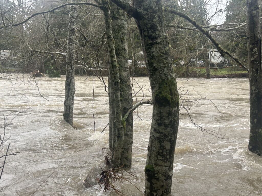 Englishmen River exceeds water capacity, flood warning issued; BC River Forecast Centre 