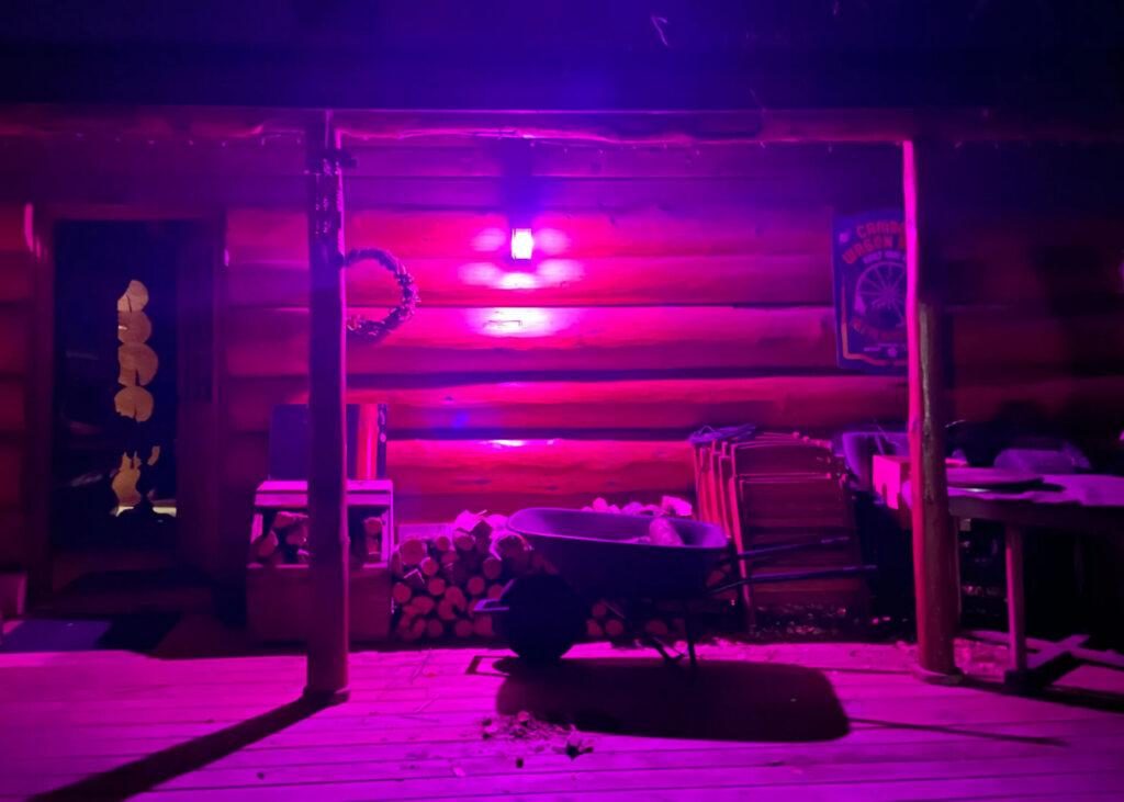 Purple Lights to shine Sunday for missing 100 Mile House woman