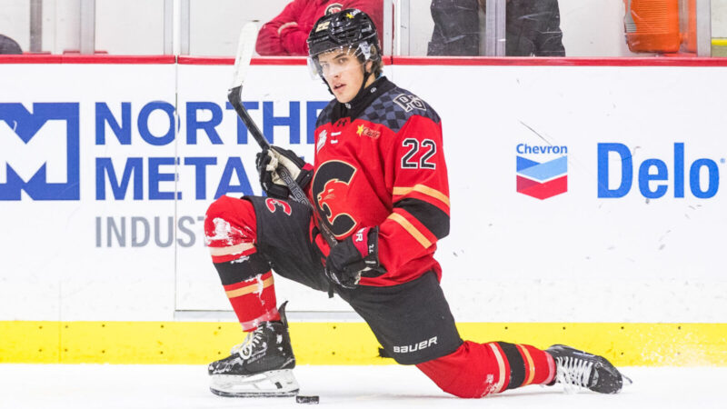 Cougars deal Johnson to Vees ahead of trade deadline