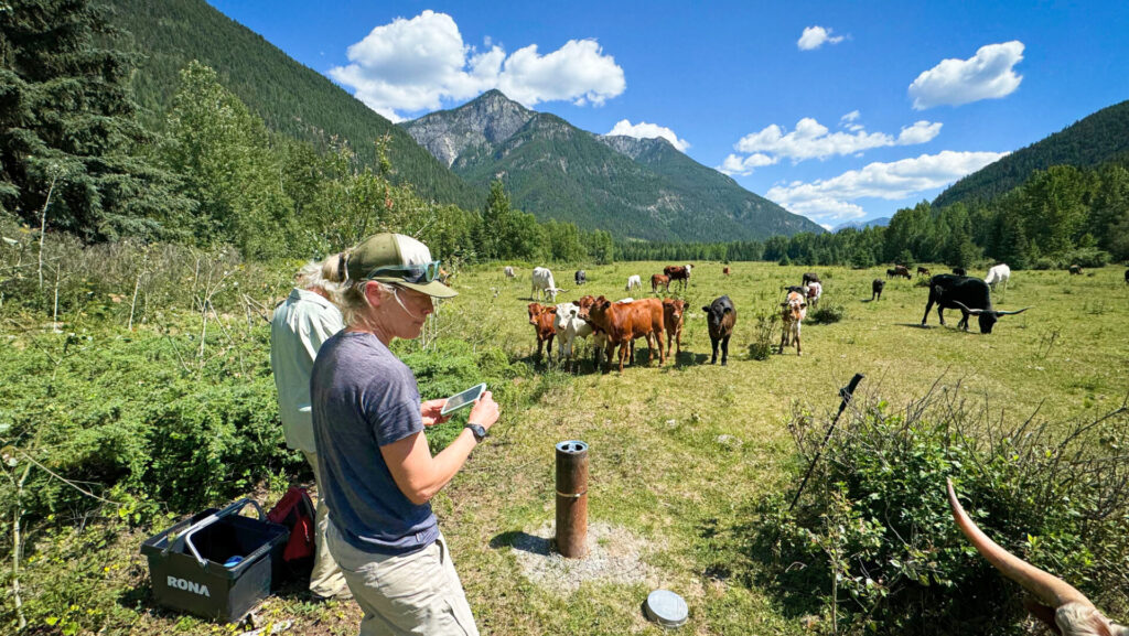 Groundwater monitoring lacking in Columbia Basin aquifers, report finds