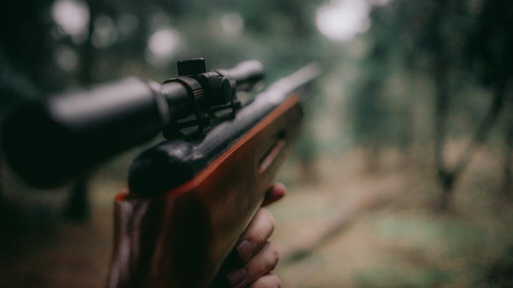 Targeted deer hunt to monitor chronic wasting disease begins near Cranbrook