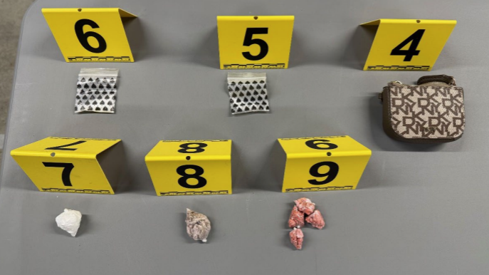 Cranbrook woman facing 12 charges after police wellness check