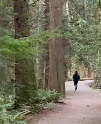 Sunshine Coast RCMP investigating recent incidents in trails near Gibsons