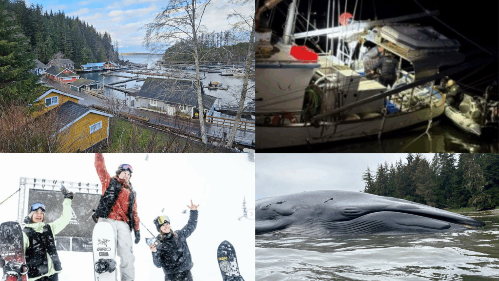 2025 Year in Review: North Island