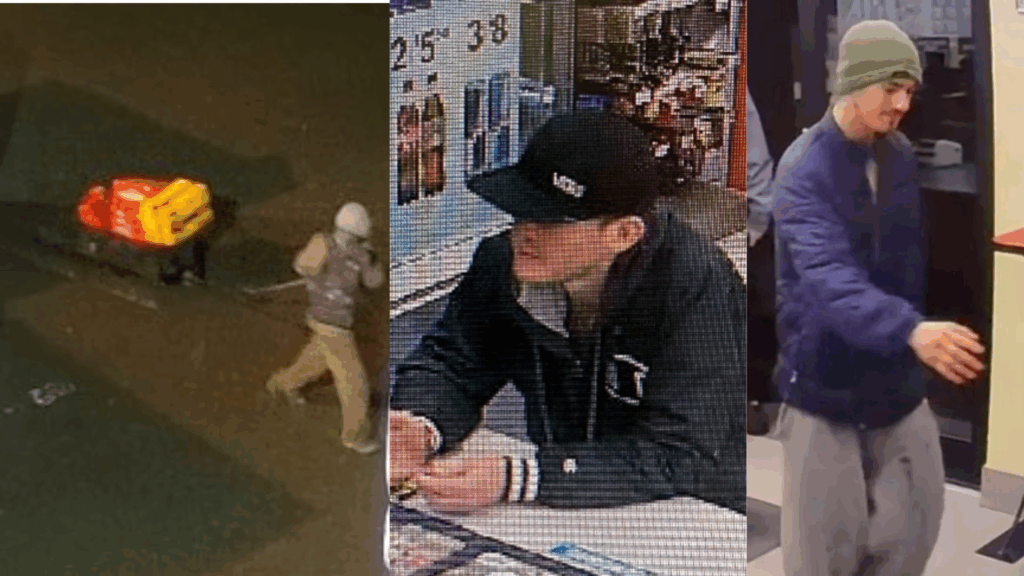 Comox Valley RCMP seek suspects linked to recent crimes