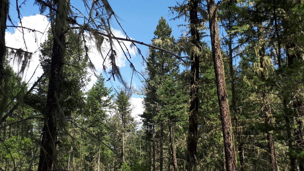 “It’s a meaningful conference to participate in” Chief Sellars says