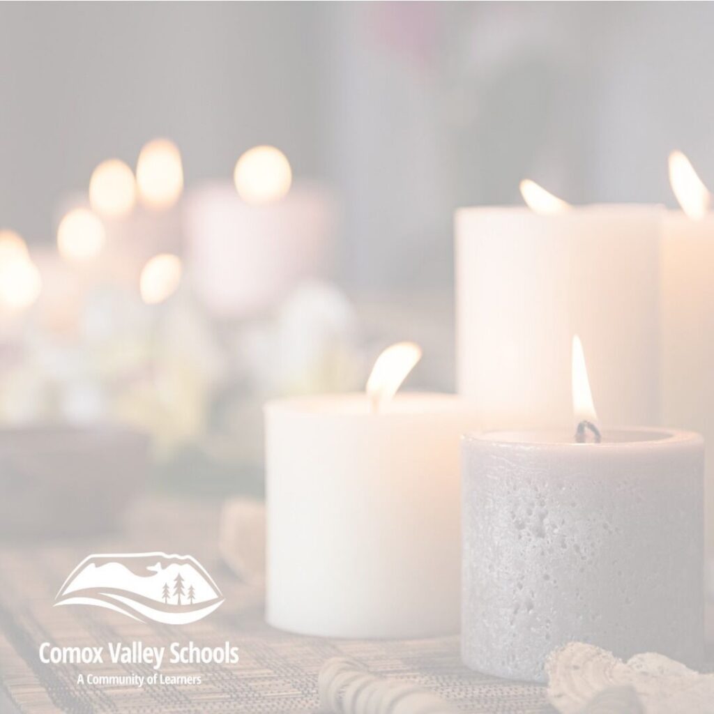 Comox Valley Schools offering support to the community following Tumbler Ridge shooting
