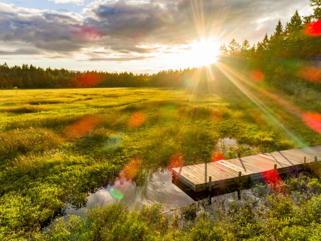 RDN secures $28 million to purchase Hamilton Marsh 